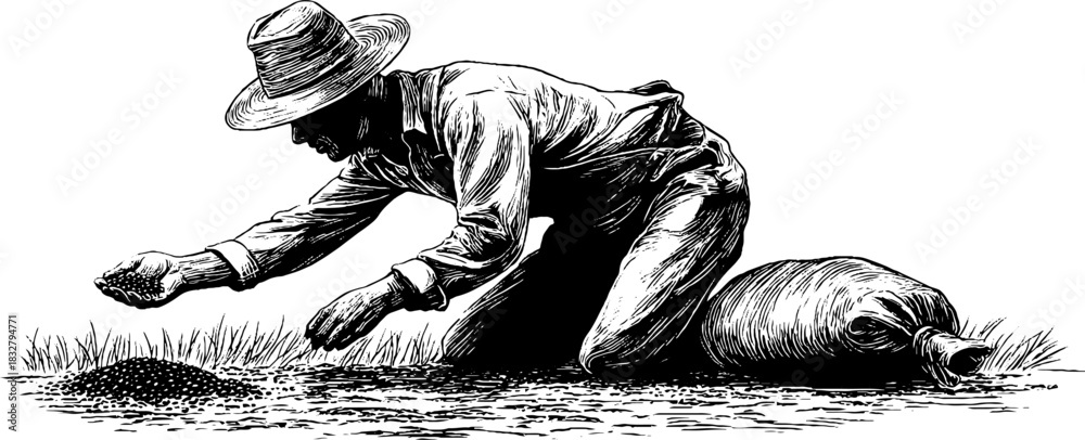 Obraz premium Vintage farmer sowing seeds engraved illustration - retro agricultural scene for prints and cards