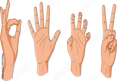Vector Set of Human Hand Gestures Including Peace Sign Okay Symbol and Counting Fingers Communication Body Language