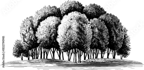 Enchanting forest dusk spirit risi - decorative design for cards and posters