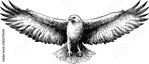 Ornate guardian spirit engraving with outstretched wings for artistic design