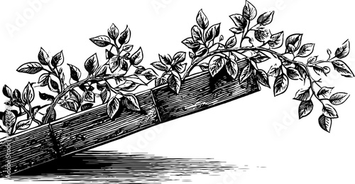 Intricate engraving of renaissance balcony with decorative foliage art