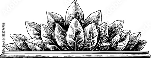 Engraved decorative renaissance pediment design vintage sketch hand drawn engraving.
