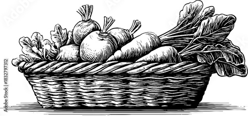 Rustic basket of vegetables engraved illustration for vintage decor or design
