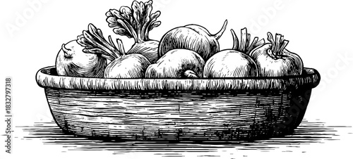 Rustic basket filled with vegetables - vintage style hand drawn decorative illustration