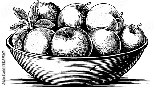 Vintage engraved illustration of rustic bowl filled with apples