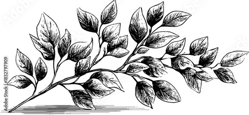 Decorative woodland glimmer spirit engraving - hand drawn sketch for nature design