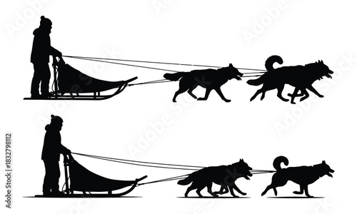 Dog sledding silhouette