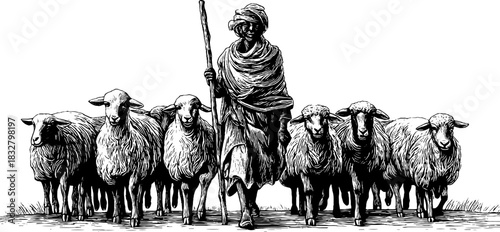 Ancient shepherd leading sheep - vintage decorative illustration for design