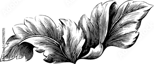 Elaborate baroque foliage design for decorative projects