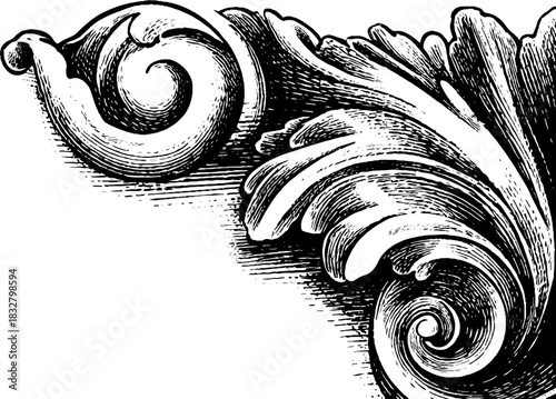 Elegant baroque ornament - vintage engraved decorative design for print or card