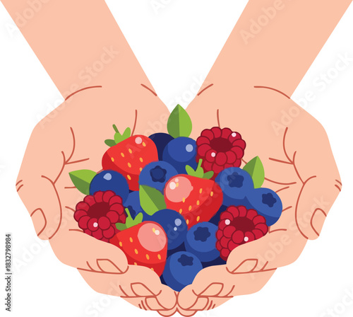 Hands Holding Fresh Berries: Strawberries Blueberries and Raspberries.