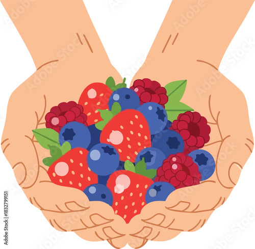 Hands Holding a Variety of Fresh Berries a Healthy Snack.