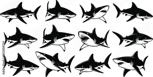 Powerful shark silhouettes swimming, a collection of monochrome ocean predators, perfect for conservation awareness and marine life education materials