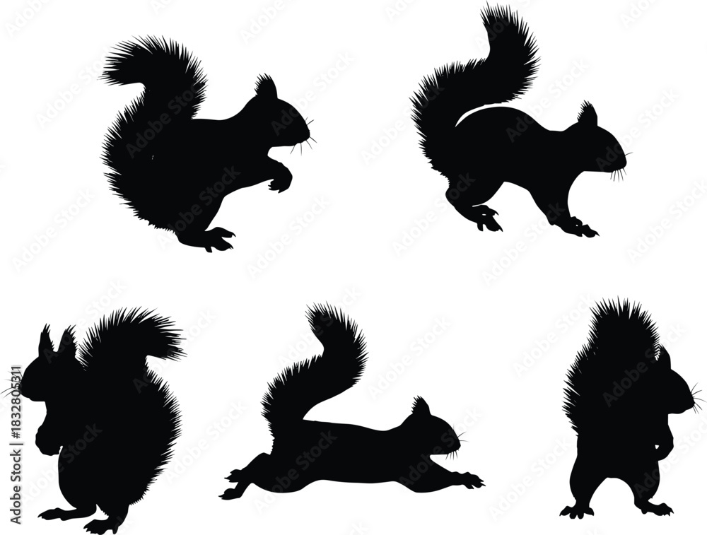 Naklejka premium Playful squirrel silhouettes showcase wildlife charm, perfect for nature themed designs, educational resources, and children's projects with a whimsical touch