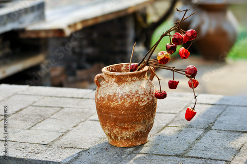 Vintage vase with dry branch with flowers close up