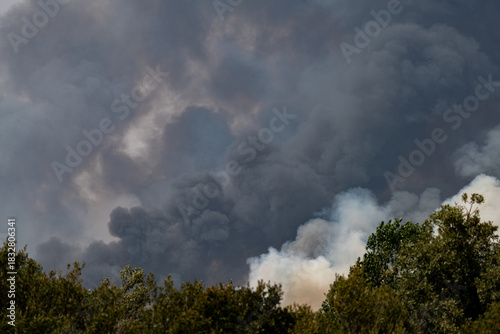 Dramatic Smoke Clouds Rising Above a Forest Fire