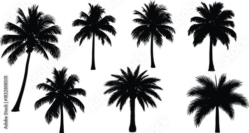 Collection of various black silhouette palm tree icons