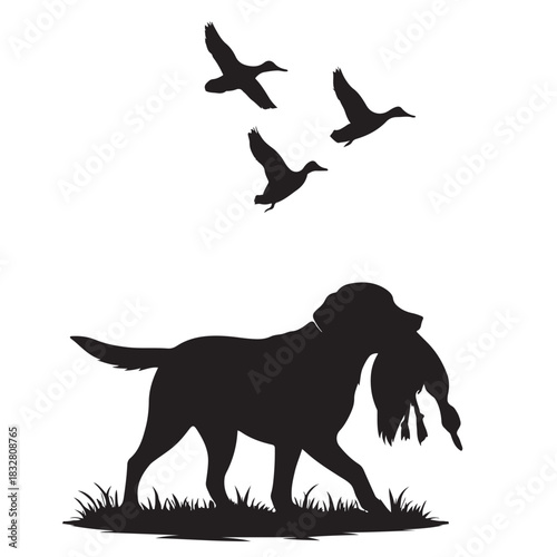Duck Hunting Dog Retrieving Ducks Silhouette Keywords: dog, retriever, duck, hunting, bird