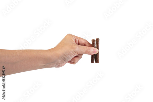 Chocolate bar in hand on transparent background