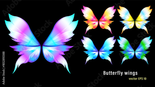 Colorful gradient acrylic butterfly wing