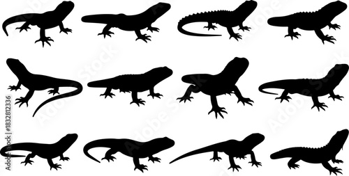 T-Rex vs Triceratops Battle Silhouette