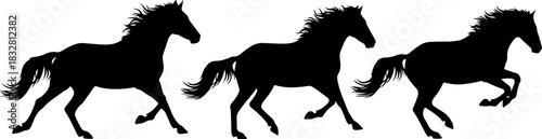 Wild Galloping Horse Silhouettes Collection