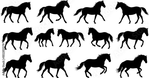 Wild Galloping Horse Silhouettes Collection
