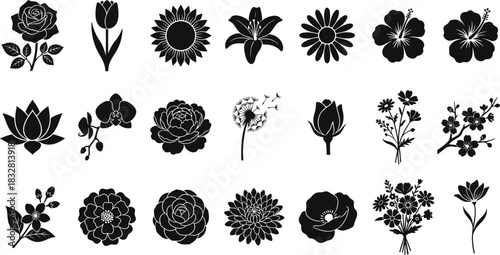 Vector silhouette collection of tree and floral nature design elements for spring and summer decoration