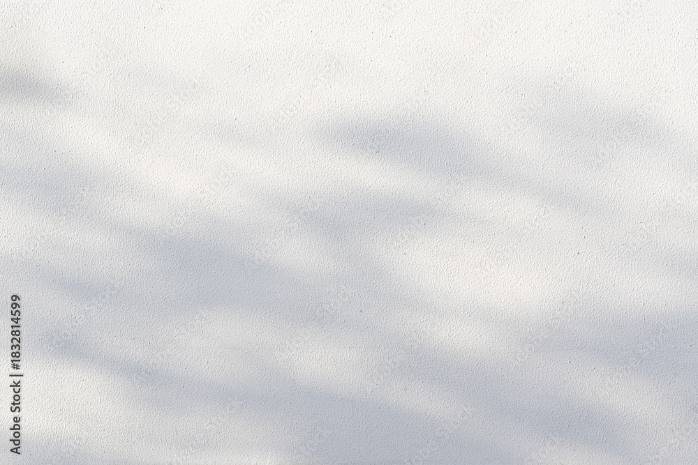 Fototapeta premium leaves tree branch plant shade sunlight on white wall background