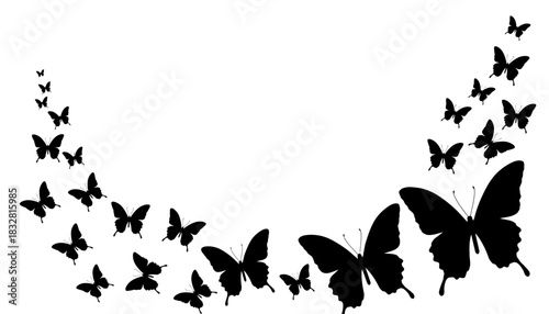 Elegant black butterfly silhouettes in a flowing arc, creating a decorative border or design element on a clean white background, symbolizing grace and natural beauty