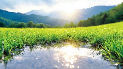 Fototapeta Naklejka Na Ścianę i Meble -  A vibrant green meadow with a small pool of water reflecting the sun and the surrounding mountains. The image captures a sunny, peaceful day.