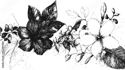 Detailed black and white engraved floral illustration background for classic decorative retro artwork and design use