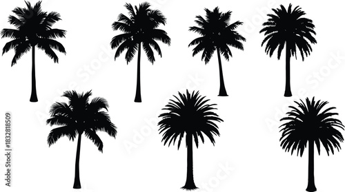 Collection of seven black silhouette palm tree icons with different shapes