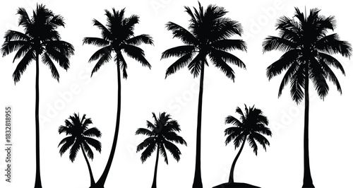 Collection of various black silhouette palm tree shapes for tropical design element