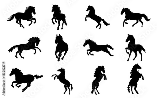 Rearing Up Black Mustang Horse Black Horse Silhouettes