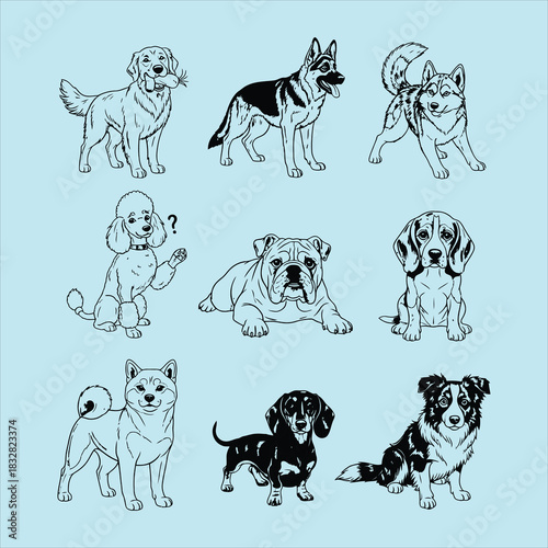 Collection of nine different dog breed line drawings