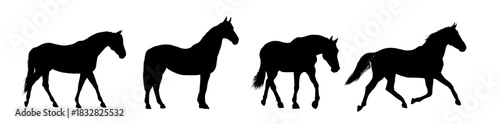 set silhouette of a running horse, side view - vector illustration