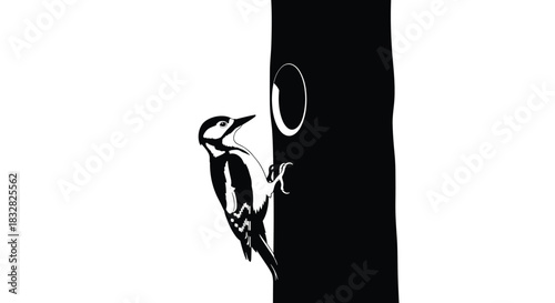 A striking black and white minimalist illustration of a woodpecker clinging to a tree trunk creating a high-contrast graphic.