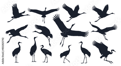 A diverse set of fifteen black crane silhouettes capturing various elegant poses such as flying walking and spreading wings.