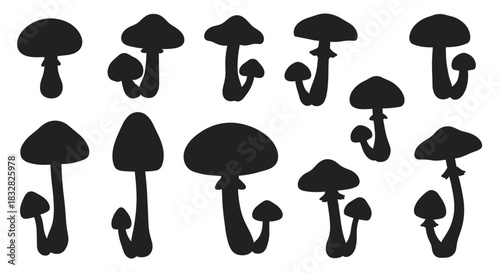 A diverse collection of various mushroom silhouettes in different shapes and sizes isolated on a clean white background.
