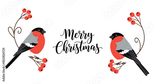 A charming 'Merry Christmas' greeting card featuring two bullfinch birds perched on branches with red berries and calligraphy.