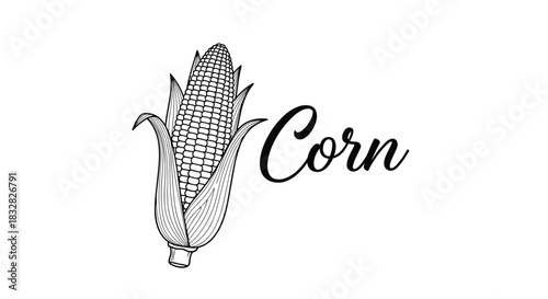 A classic black and white vintage-style engraving of a corn cob with elegant calligraphy for a rustic food label or menu.