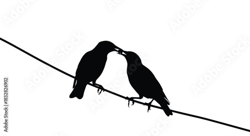 Monochromatic silhouette of two birds on a wire where one appears to be feeding the other in a tender moment against a white background.