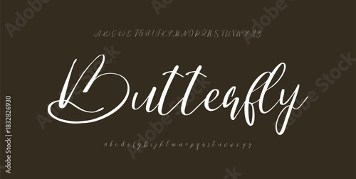 Luxury serif font in modern style. Elegant wedding alphabet letters font and number. Typography Luxury classic lettering serif fonts decorative vintage retro logo