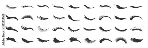 Eyelash silhouette collection, beauty lashes vector set, cosmetic eye shapes, fashion makeup elements, glamour illustration on transparent background