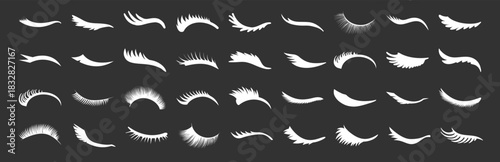 Eyelash silhouette collection, beauty lashes vector set, cosmetic eye shapes, fashion makeup elements, glamour illustration on transparent background