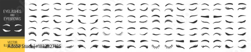 Eyelash and eyebrow silhouette collection, beauty lashes and brows vector set, cosmetic eye shapes, fashion makeup illustration on transparent background