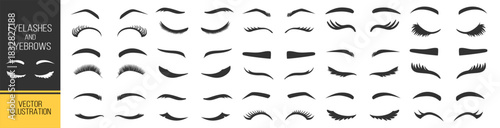 Eyelash silhouette collection, beauty lashes vector set, cosmetic eye shapes, fashion makeup elements, glamour illustration on transparent background