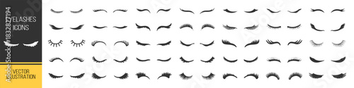 Eyelash silhouette collection, beauty lashes vector set, cosmetic eye shapes, fashion makeup elements, glamour illustration on transparent background