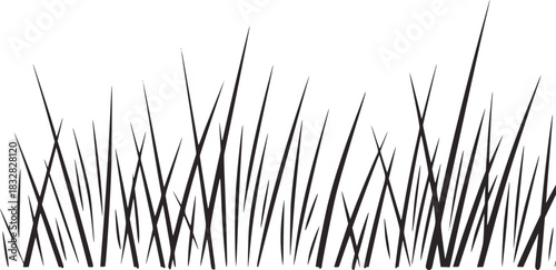 Black and white minimalist grass blades line drawing